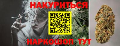 ешки Новодвинск