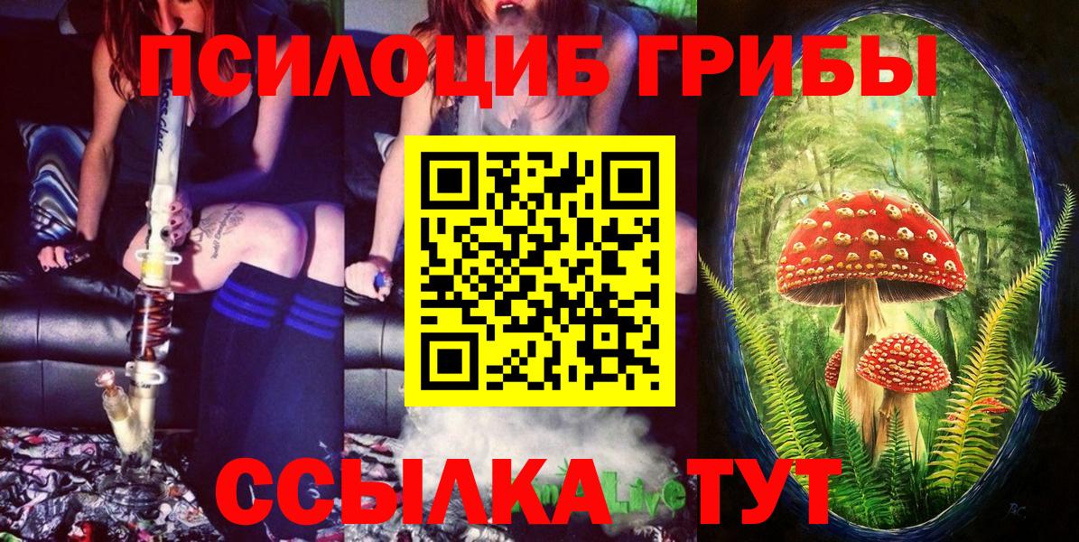 Галлюциногенные грибы ЛСД Тосно