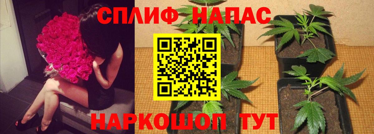 Бошки Шишки AK-47 Тосно